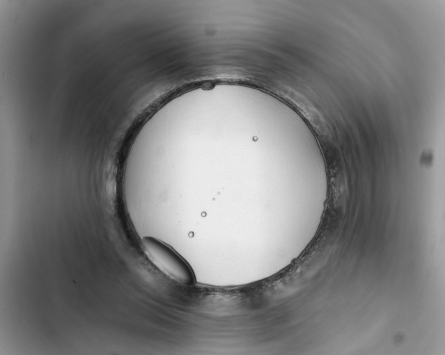 X0000103270350200809191748
