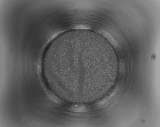 X0000103270351200809191748