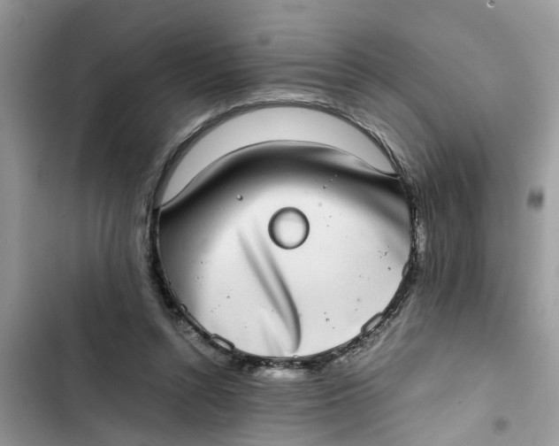X0000103270352200809191748