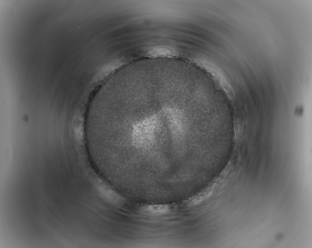 X0000103270353200809191748