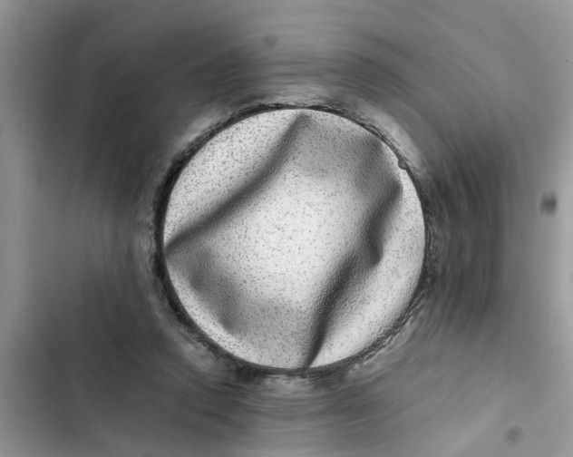 X0000103270354200809191748