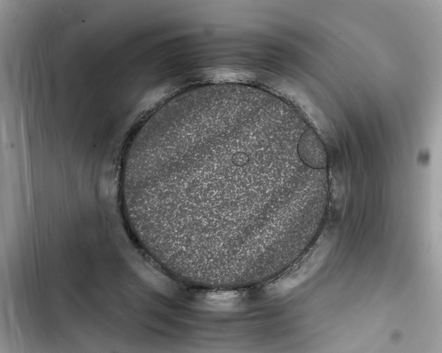 X0000103270357200809191748