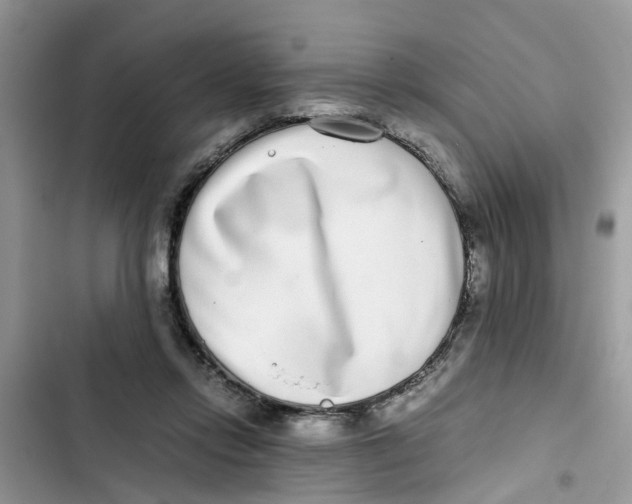 X0000103270358200809191748