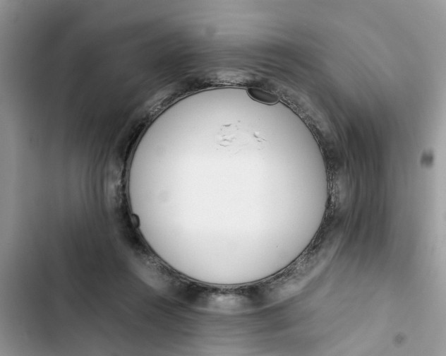 X0000103270360200809191748