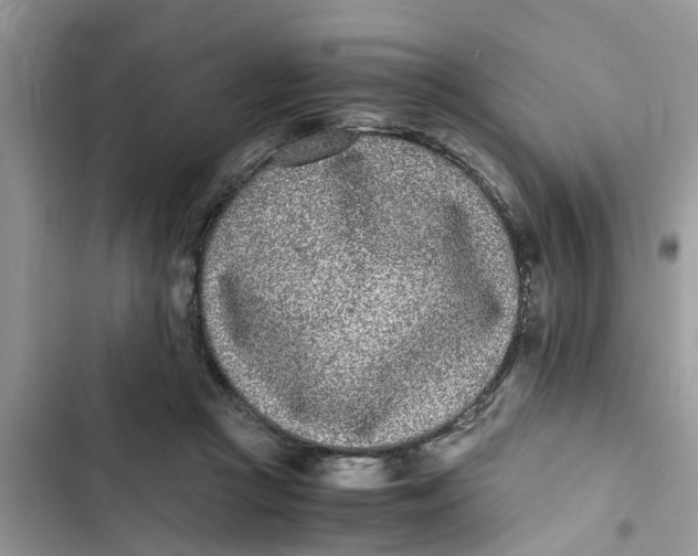 X0000103270361200809191748
