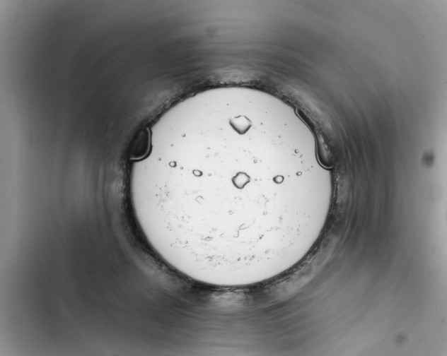 X0000103270362200809191748