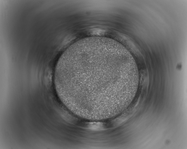 X0000103270363200809191748
