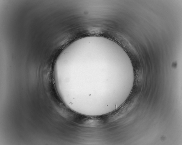 X0000103270364200809191748