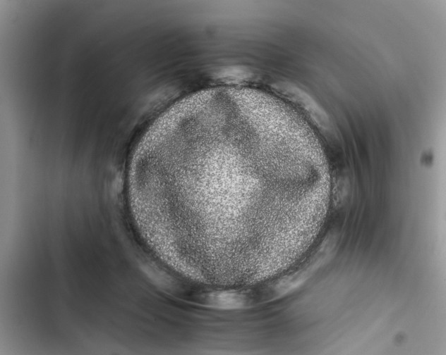 X0000103270365200809191748