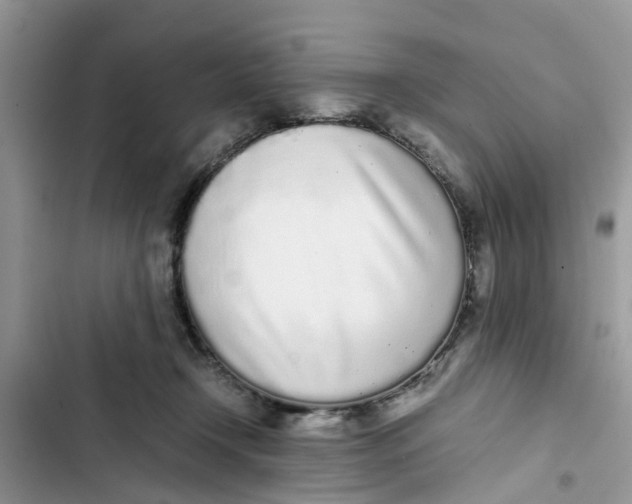 X0000103270366200809191748