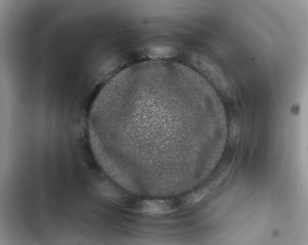 X0000103270367200809191748