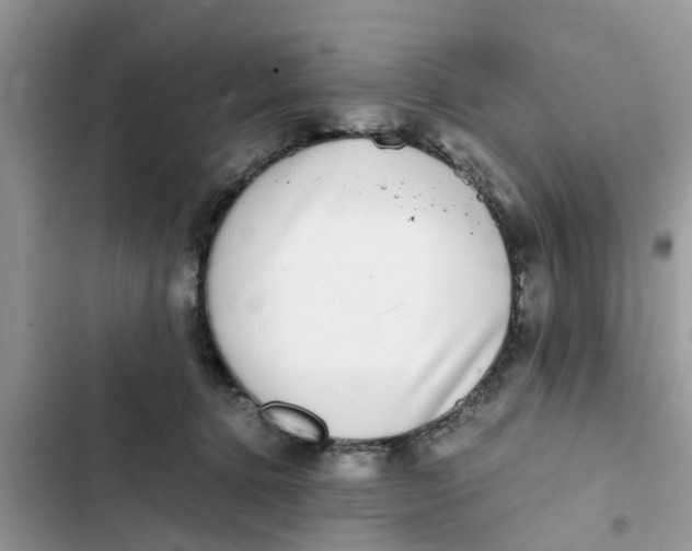 X0000103270368200809191748