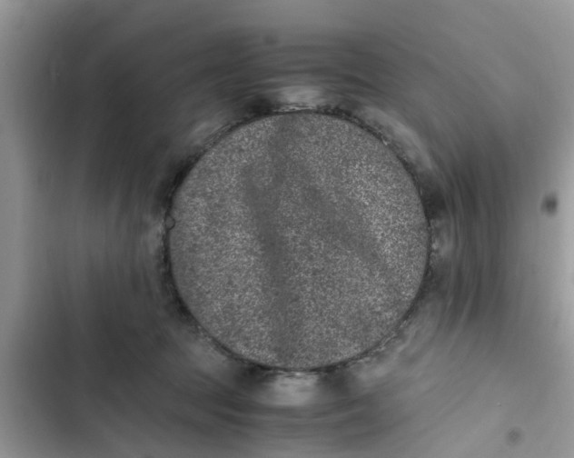 X0000103270369200809191748