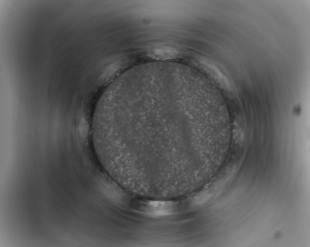 X0000103270371200809191748