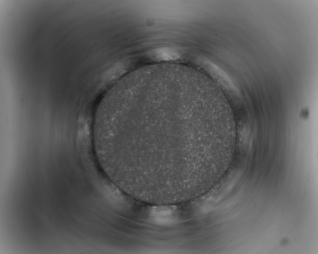 X0000103270373200809191748