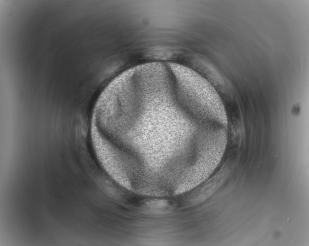 X0000103270374200809191748