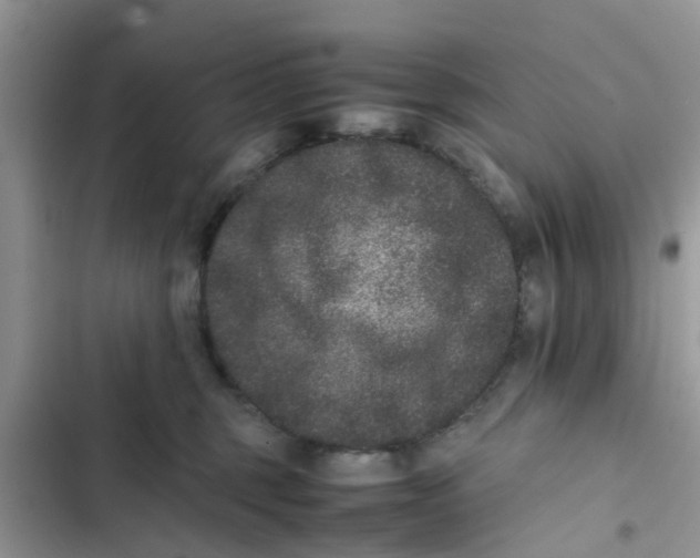 X0000103270375200809191748