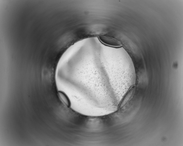 X0000103270376200809191748