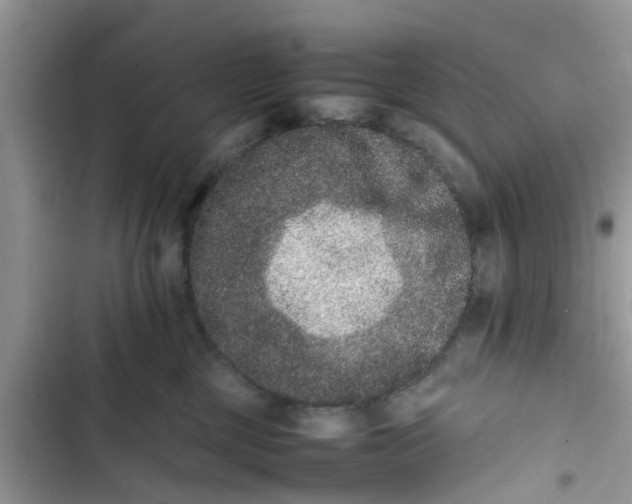 X0000103270377200809191748