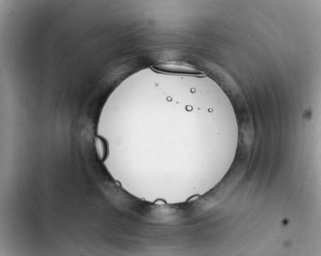 X0000103270380200809191748