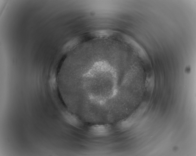 X0000103270381200809191748
