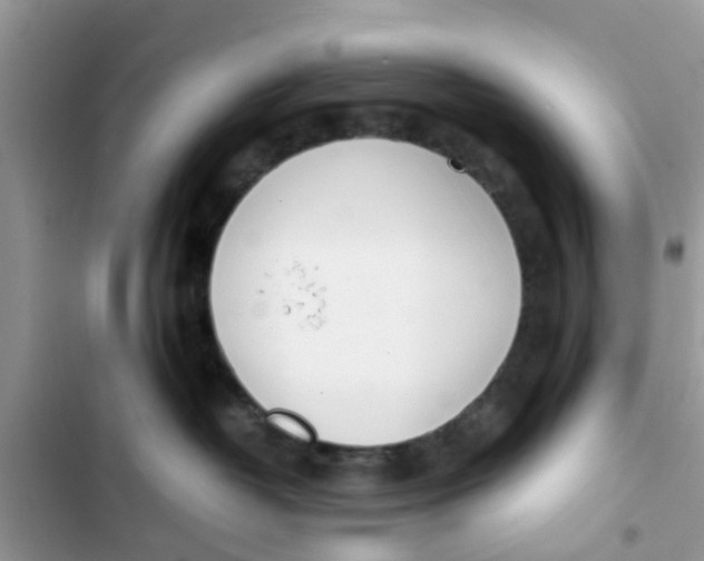 X0000103270382200809191748