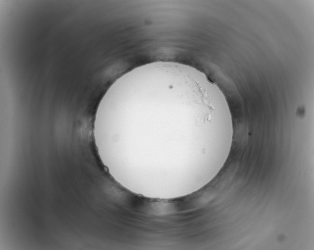 X0000103270383200809191748