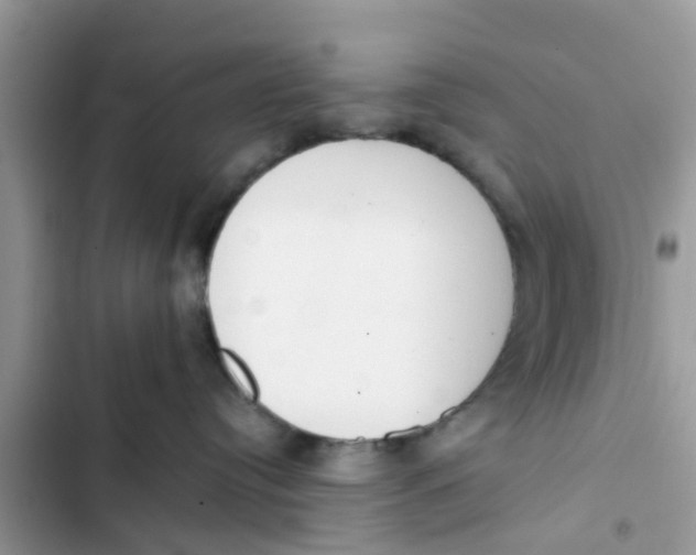 X0000103270384200809191748