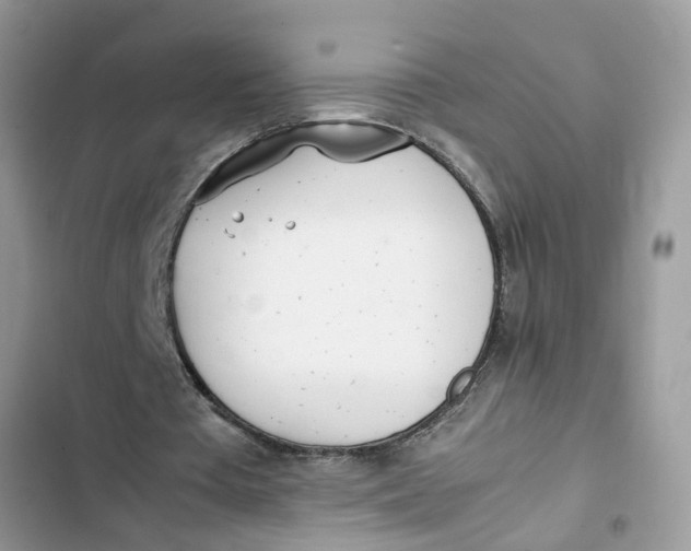 X0000103270385200809191747