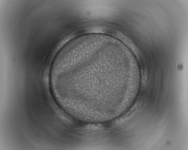 X0000103270386200809191747