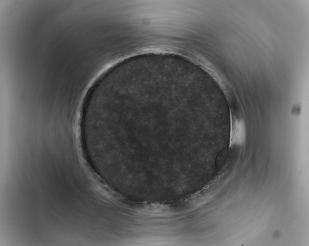 X0000103270387200809191747