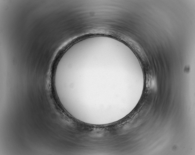 X0000103270388200809191747