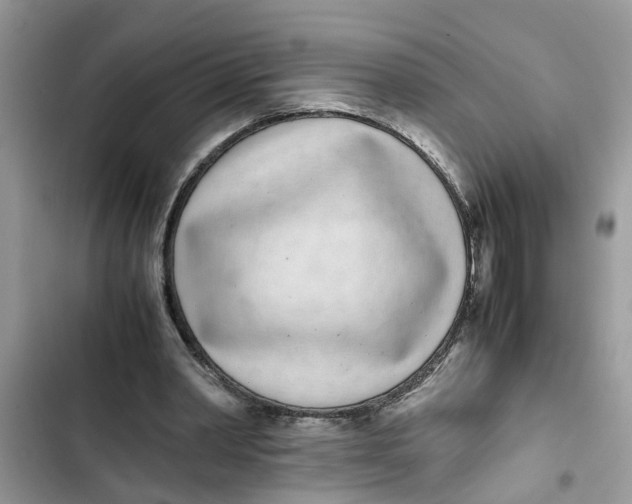 X0000103270390200809191747