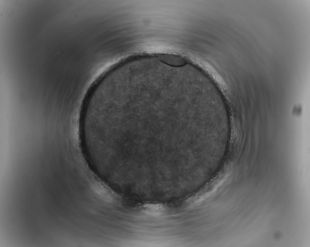 X0000103270391200809191747
