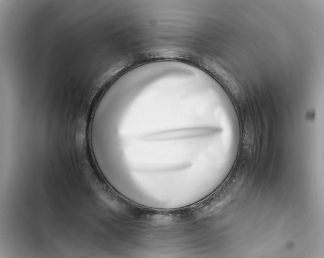 X0000103270394200809191747