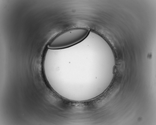 X0000103270395200809191747