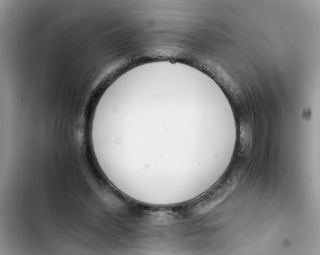 X0000103270396200809191747