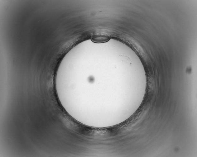 X0000103270401200809191747