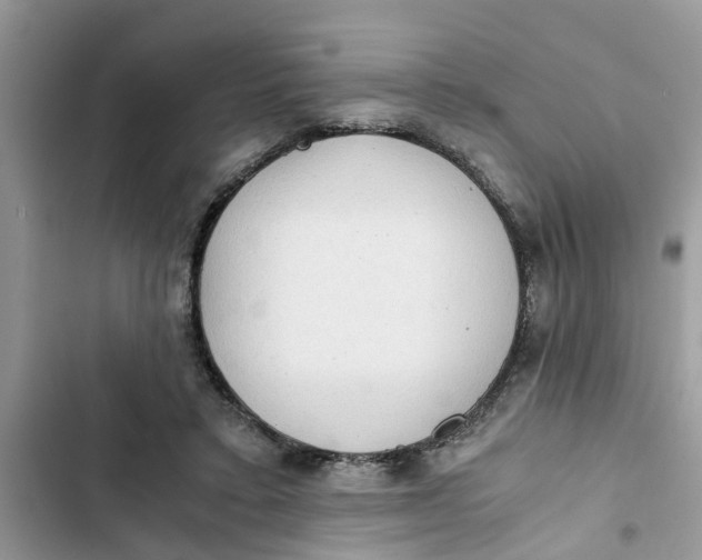 X0000103270403200809191747