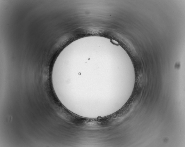 X0000103270407200809191747