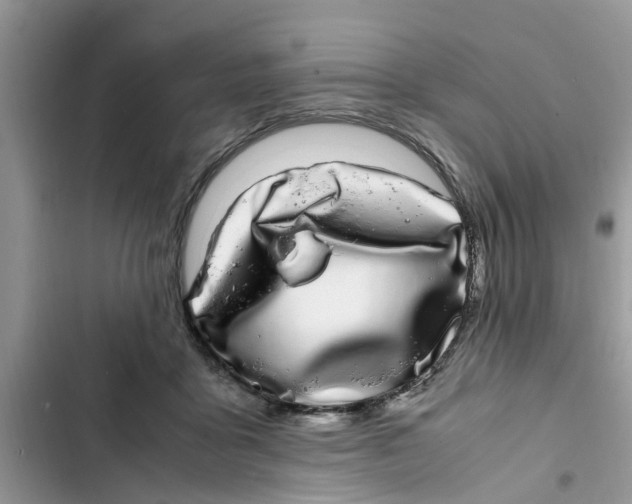 X0000103270411200809191747