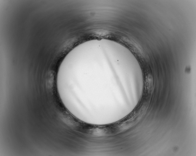 X0000103270412200809191747