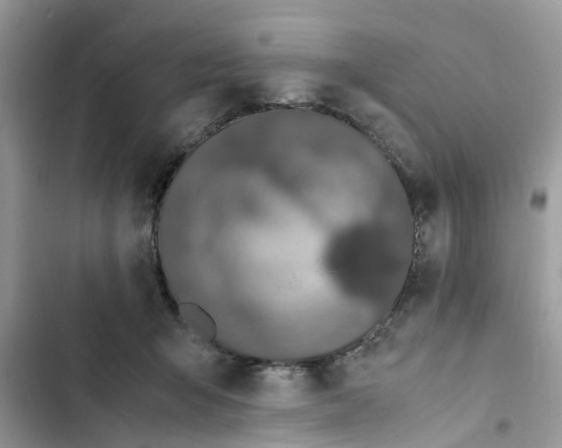 X0000103270415200809191747