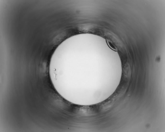 X0000103270420200809191747