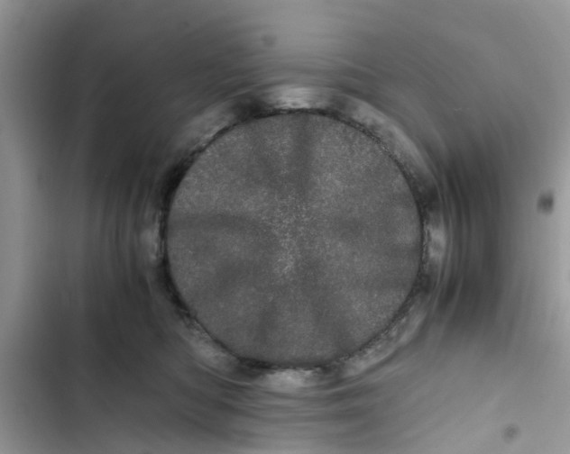 X0000103270422200809191747