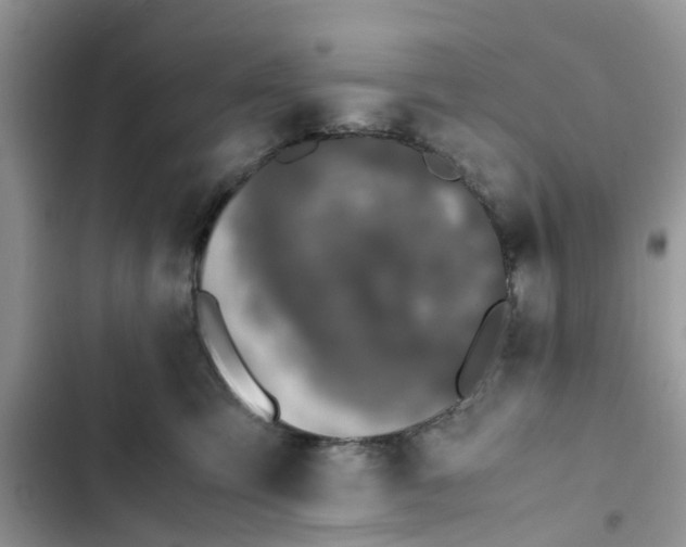 X0000103270423200809191747