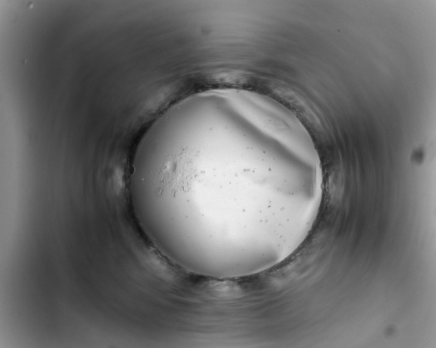 X0000103270424200809191747