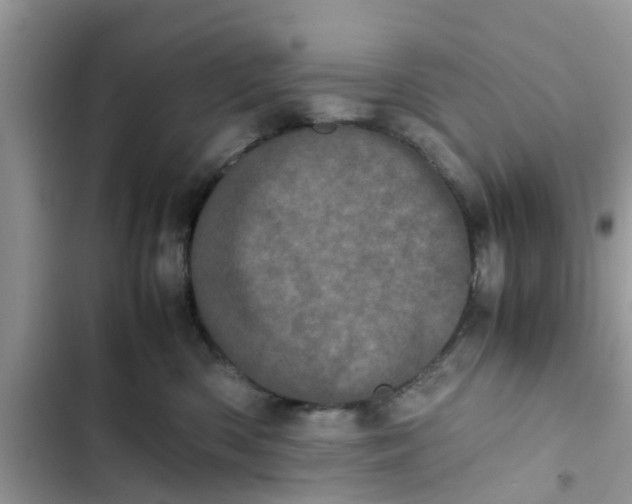 X0000103270426200809191747