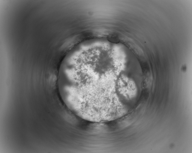 X0000103270427200809191747
