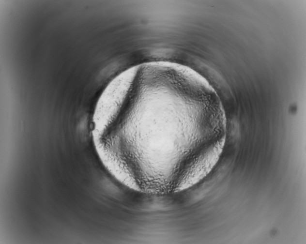 X0000103270428200809191747